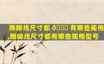 踢脚线尺寸都 🐛 有哪些规格,踢脚线尺寸都有哪些规格型号